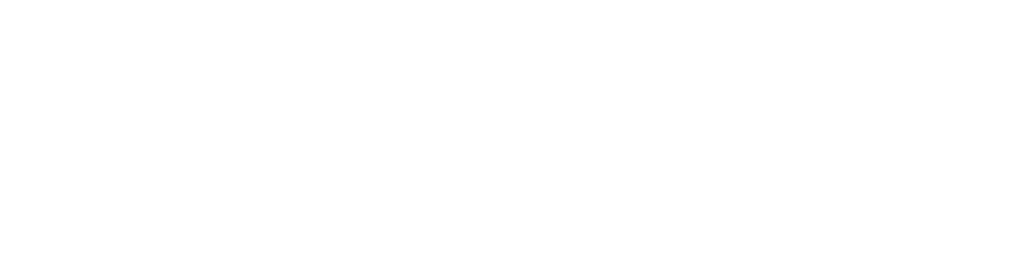 Class N Luxury logo